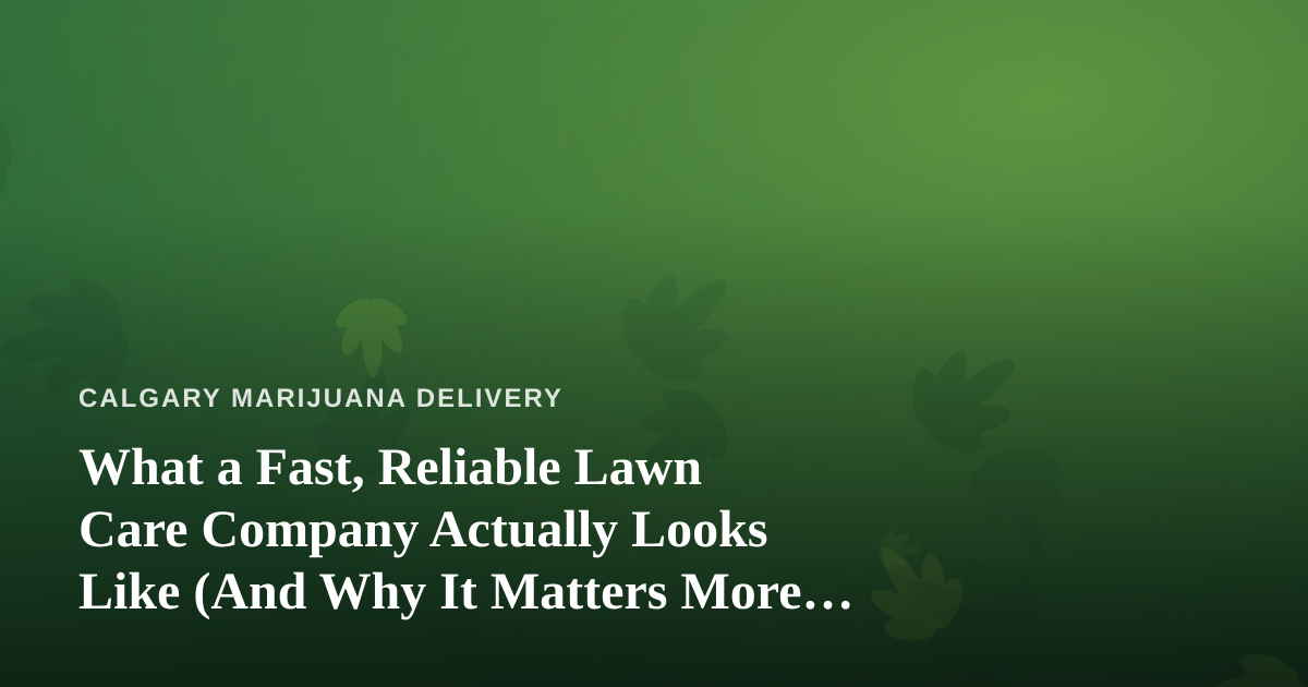What a Fast, Reliable Lawn Care Company Actually Looks Like (And Why It Matters More Than You Think)