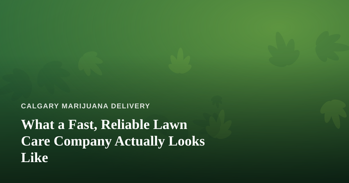 What a Fast, Reliable Lawn Care Company Actually Looks Like